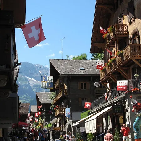 Chalet Les Frenes *