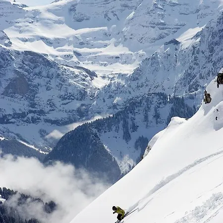 Chalet Chalet Les Frenes Champéry